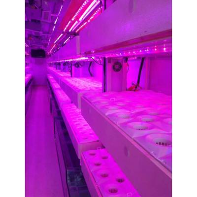 China Temperature Control Climate Vertical Container Farm Widely Application Hydroponic Plant Indoor Hydroponic Plants for sale