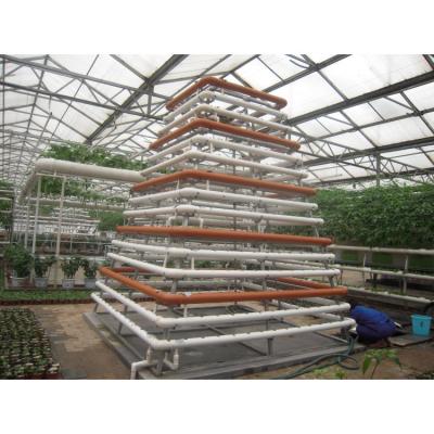 China Stable Structure Best Quality Greenhouse Design Hydroponic Growing Systems For Lettuce for sale