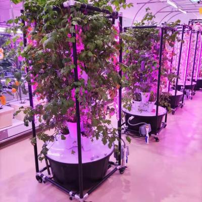 China Modern vertical tower/pillar/wall style spiral hydroponics with drip irrigation system for leafy vegetables for sale