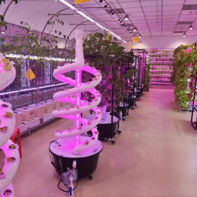 China Farms Factory Direct Sales Commercial Greenhouse Plant Growing Hydroponic System for sale