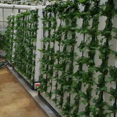 China Grows Best NFT Climate Skyplant Customized Vertical Control Hydroponic Growing Systems for sale