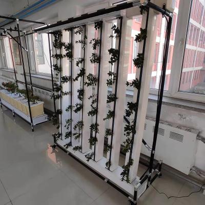 China Grow the right hydroponics equipment to breed a variety of vegetables zip hydroponics space saving double sided hydroponics zip for sale