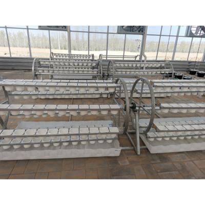 China Stable structure most popular plant outlet cultivation roller type dipping system for sale for sale