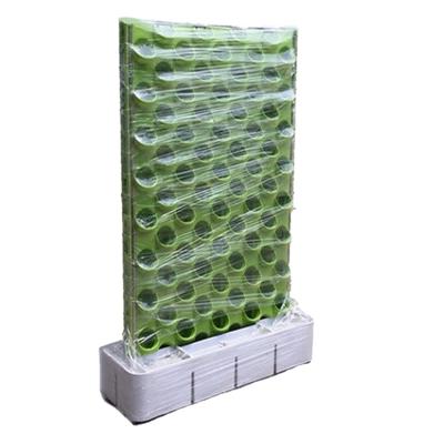 China Best Quality Green Garden Wall Vertical Farms System Garden Self Indoor Growing Watering Planter for sale