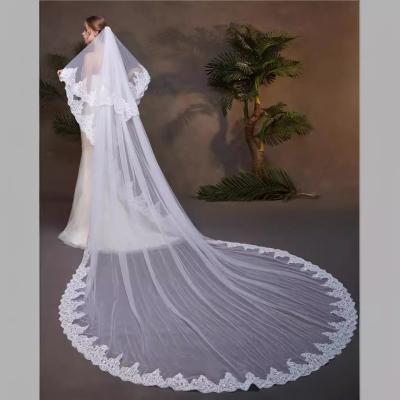 China New Styles Customized Two Layers Appliqued Lace 3.5m*3m Cathedral Tulle Bridal Wedding White Veil With Hair Comb for sale