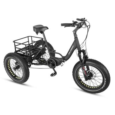 China Aluminum alloy Petrigo 3 wheel electric bike tire 24/26 inch 36V fat electric bicycle high power folding tricycle ebike cargo ebike for sale