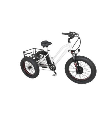 China Standard Affordable Three Wheeler Price Wholesale Cheap New Design 2021 Hot Sale Electric Bicycle for sale