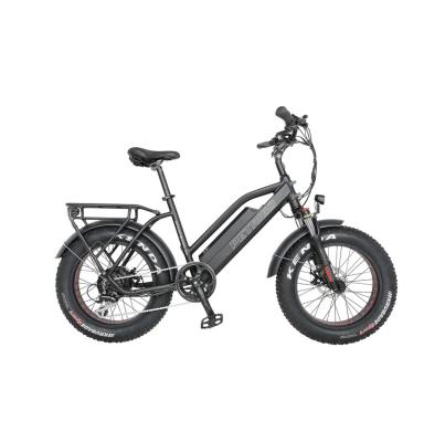 China High Quality Aluminum 48v Bike, 20 Inch 350w 48v E Bike, China Fat Tire 750w Electric Bike Cheap Alloy PETRIGO 20 Inch 350w E Bike for sale