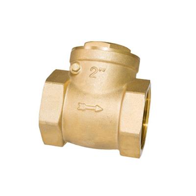 China Other China Supply Swing Brass Air Compressor Spring Loaded Check Valve For Sale for sale