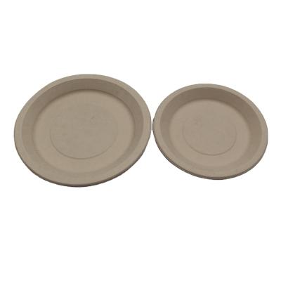 China Food Grade Biodegradable Disposable Tableware Products Sugarcane Bagasse Plates for sale