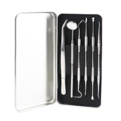 China Teeth Clean/Personal Oral Care/Teeth Whitening for Personal Dentist Cleaning Instruments Kit Set 6pcs of Teeth Care Oral Whitening for sale