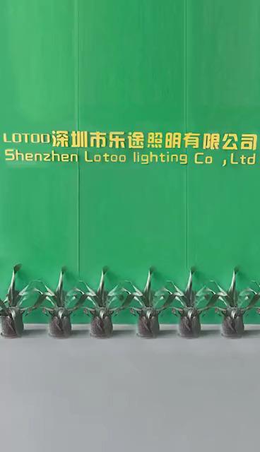 Verified China supplier - Shenzhen Lotoo Lighting Co., Ltd.