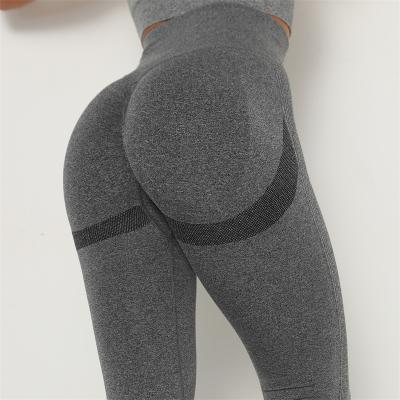 China Women Fitness Gaiters High Waist Elastic Seamless Lift Up RG003 Breathable Yoga Pants Running Tights Gym Workout Sportswear for sale