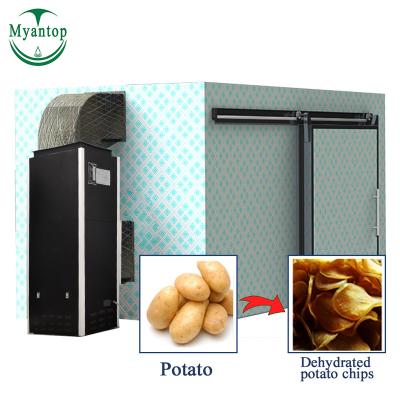 China Durable Body Factory Automatic Vegetable Potato Chips Dryer Machine Hot Air Potato Chips Dryer Onion Fried Food Drying Machine Continuous Dehydration Dryer for sale