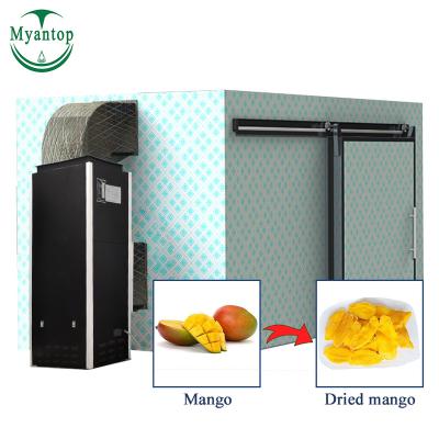 China Stainless Steel Body Large Capacity Fruit and Vegetable Dehydrator Mango Heat Pump Machine Durable Industrial Dryer Price for sale