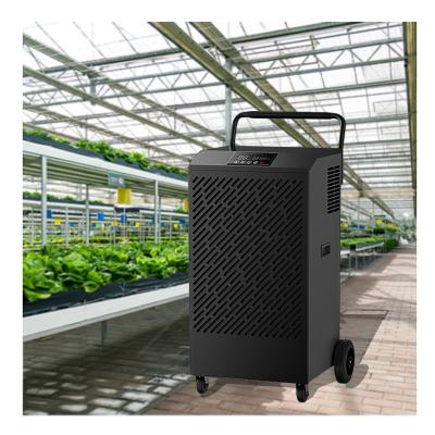 China Hotels Automatic Control Humidity Temperature 250L/day Dehumidifier Industrial For Greenhouse for sale