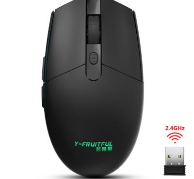 China Matt Computer Mouse Desktop Mini 2.4g Universal Multifunctional Wireless Ergonomic Mouse For Laptop PC for sale