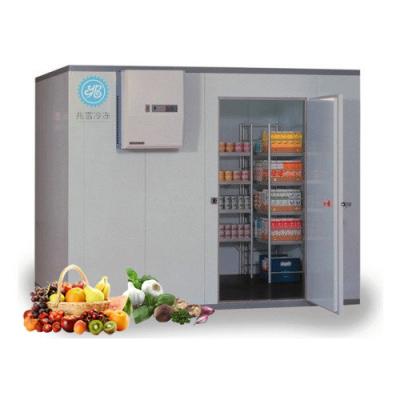 China China Cold Room Cold Storage Shop Coolroom Walking Cooler Cold Evaporator Food Factory Cold Room for sale