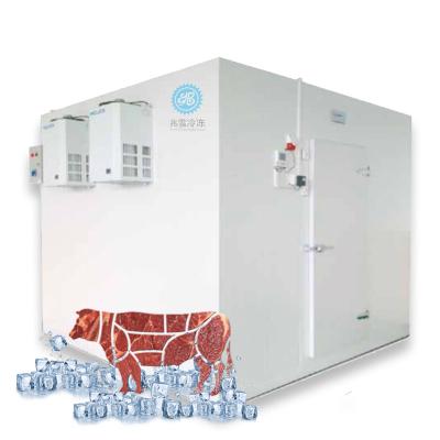 China Easy To Install Coldroom Refrigerator Room Cooling Cold Storage Blast Freezer Cold Storage Cold Room for sale