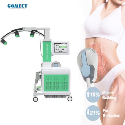 Cina 532 nm Diode Cold Laser Fat Removal Machine Fat Reduction Weight Loss Ems Body Slimming 10d LIPO LASER with EMS Machine in vendita