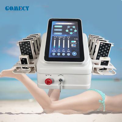 China Laservetoplosmiddel Lipodissolve Strik huid 6d Lipo Laser Therapy Device Iso Voor gewichtsverlies Te koop