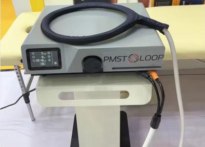 Cina GOMECY 2 in 1 PEMF LOOP Uomo e cavalli PMST LOOP PRO MAX Prodotti di fisioterapia equina per alleviare il dolore corporeo Equino in vendita