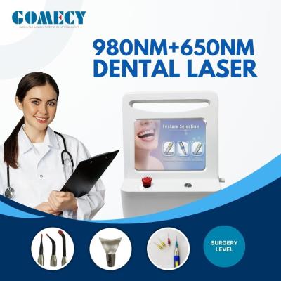 China Professional Dental Clinic ENT 650nm 980nm Diode Laser Therapy Machine for Teeth Pain Relieve for sale