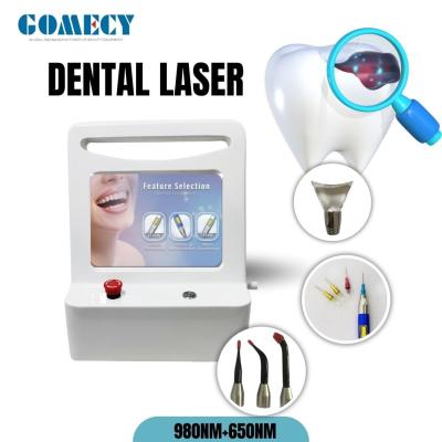 Cina Professional Dental Laser ENT 650nm 980nm Deep Tissue Laser Therapy Machine in vendita