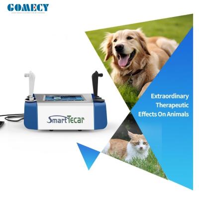 China Portable High-Performance Radiofrequency Tecar Therapy for Horse Sports Injuries - Advanced Physiotherapy Treatment for sale