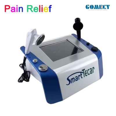 China Portable High-Performance Radiofrequency Tecar Therapy for Horse Sports Injuries - Advanced Physiotherapy Treatment for sale