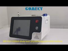 Diode Laser 980Nm 810nm 650nm 1064nm Class 4 Laser Pain Relief Device Laser Therapy Physiotherapy