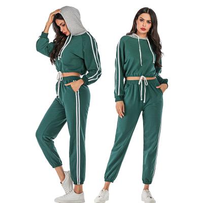 China High Quality Sweatshirt Training Cotton Women's Breathable Sweatsuits Set Jogging Sweatsuit Women's Sweatsuits for sale