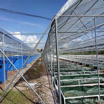 China Plant Subsystems Aquaponics Planting Hydroponic Fish Farms And Fish Farms With Tank And Plant Growing Greenhouse Commercial Aquaponics System for sale