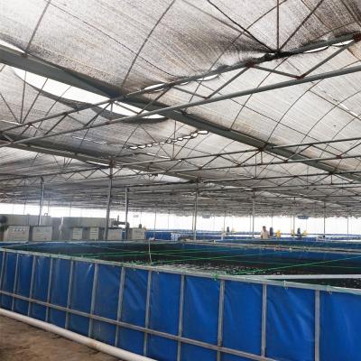 China Hydroponic planting subsystems aquaponics fish farming and fish farms commercial plant growing greenhouse aquaponics equipment and system for sale