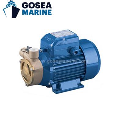 China Durable Marine Outfitting Structure Simple and not easy to use marine peripheral pump other marine pumps for sale