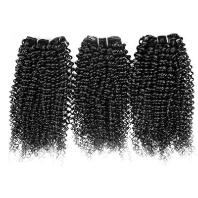 China Best Selling Body Wave Grade 10a Virgin Hair Bundle Human Hair Bundles Sellers Bundle Kinky Curly Hair For Women for sale