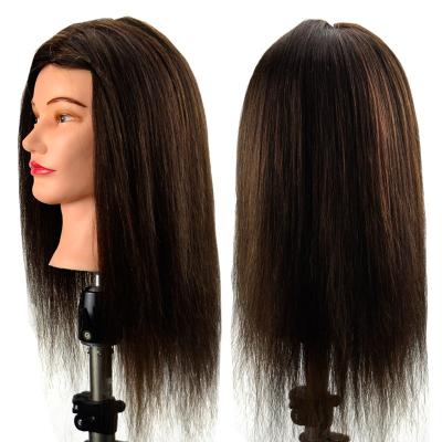 China Wholesale body wave famela training mannequin head with indian hair practice heads for hair dresser salon hair school to beautiful for sale