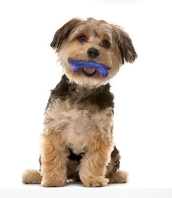 China Viable Dog Toys for Aggressive Chewers, Indestructible Pet Chew Toys Bone for Puppies Gradient TPR Chewing Toy for sale