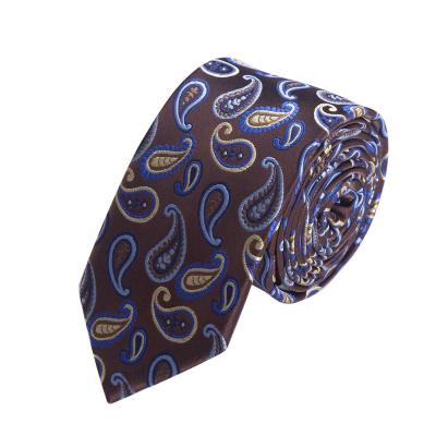 China Custom Skinny Paisley Polyester Tie 148x6CM for sale