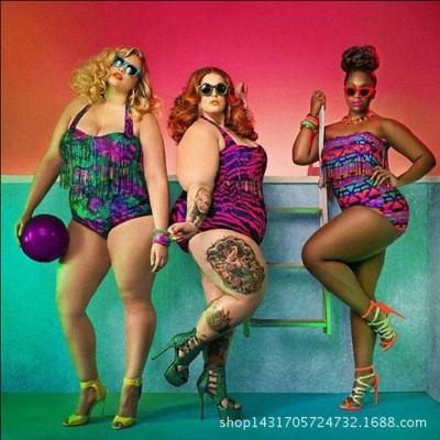 China Hot Sale Plus Size Plus Fat Plus Size Two Piece Swimsuit With Fringed High Waist Bikini Multicolor Print Swimwear for sale