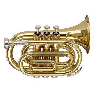 China Lacquer Accept OEM Cheap Professional Gold Bb Pocket Trumpet for sale