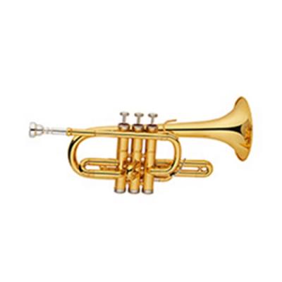 China Gold Lacquer Accept OEM High Quality Cheap Gold C Key Kids Sound Brass Trumpet JYCTR02 for sale