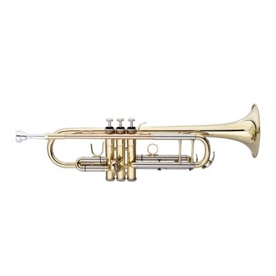 China Gold Lacquer Accept OEM Cheap Phosphor Leadpipe Cupronickel Pipe Tuning Trumpet for sale