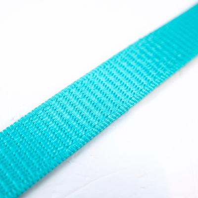 China High Quality And Wholesale Eco-friendly Lake Green Eco-friendly Webbing Single Nylon Strap For Bag And Luggage for sale