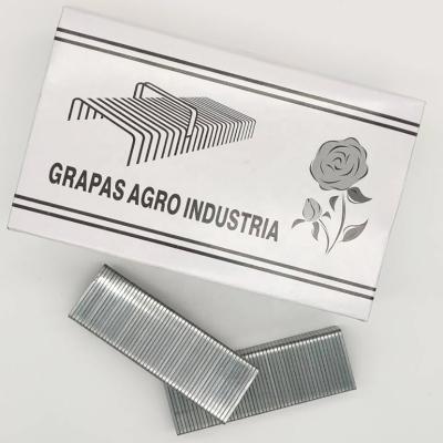 China Widely Use Fancy Cardboard Staple Staples Crown 1-1/4