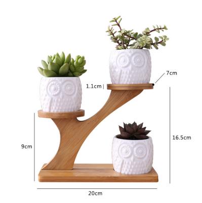 China Europe Wholesale Factory Balcony Indoor Bulk Ceramic Planters Sublimation Garden Cute Luxury Cute Flower Pot for sale