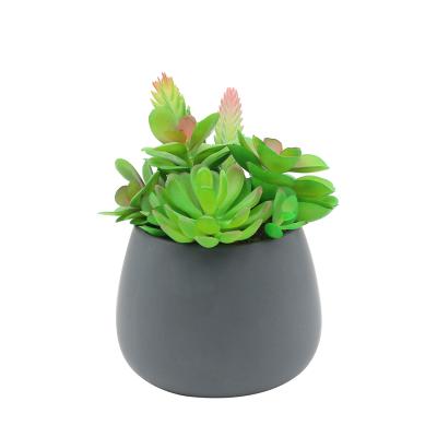 China Modern Country Style Ceramic Potted Artificial Green Succulent Plant With Black Pot Bonsai for sale