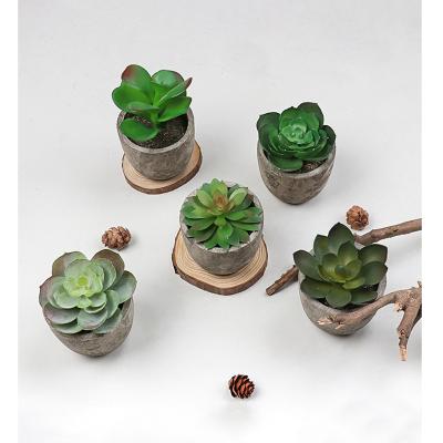 China Hot selling artificial succulent combination minimalist Mini Succulent Bonsai of pulp pot green plant simulation pot for sale