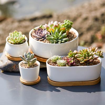 China Drainage Hole At The Bottom In Chaozhou Current Humanoid Set European Succulent Giant White Planter Piece 1 14 Inch Large Plant Pot Ceramic Indoor Design for sale