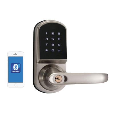 China Tuya Wood Zinc Alloy Simple APP Touch Screen Door Smart Door Lock OEM Door Lock for sale